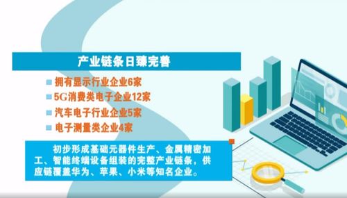 奮進(jìn)在春光里 電子信息產(chǎn)業(yè)滿園春色，賦能向海圖強與信息咨詢服務(wù)共振
