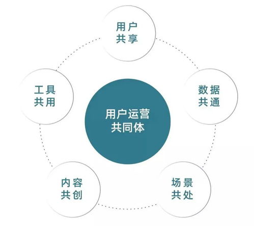 從今往后有兩種企業,有錢的買流量,有才的造流量